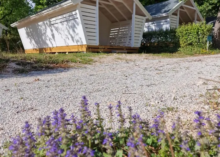 Fkk Adriatika In Fkk Solaris Naturist * 波雷奇